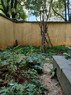 (罗平城区)布依风情园4室2厅3卫160万210m²出售带花园和车库