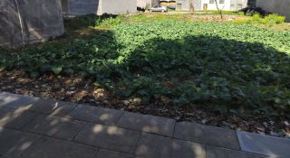 临街土地，商住一体