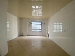 (罗平城区)九龙大道整条6室3厅3卫4200元/月600m²出租