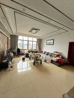 城中心集体自建房