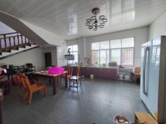 城中心集体自建