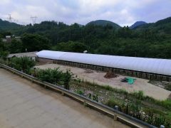 罗平县大水井乡士桥，大山养殖场出租，现有600个平方猪圈有意者联系价格面议